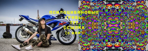 spice Касимов