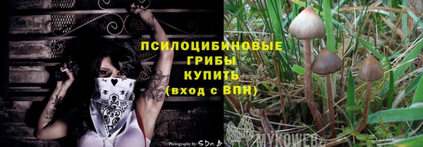 герыч Алексин