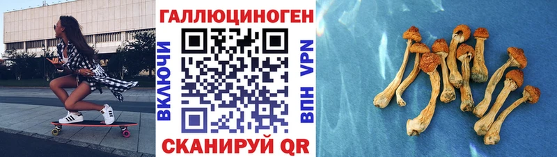 Псилоцибиновые грибы Psilocybine cubensis blacksprut как войти Сорочинск